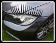 BMW Eyelashes