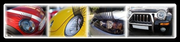 Car Eyelashes
